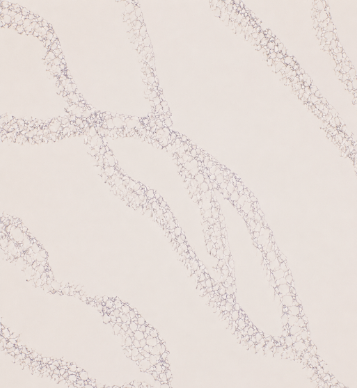 Burgundy Beige - Image 3