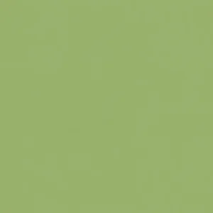 Crayons Pista Mint